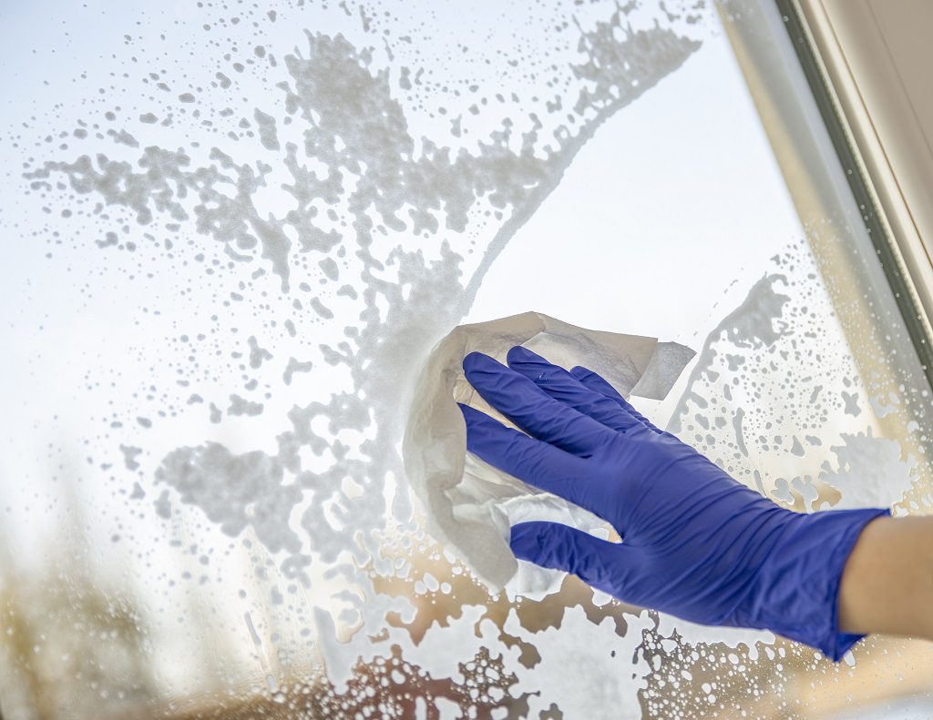 Czym różnią się płyny do mycia szyb Eco Glass i Top Glass marki Tenzi