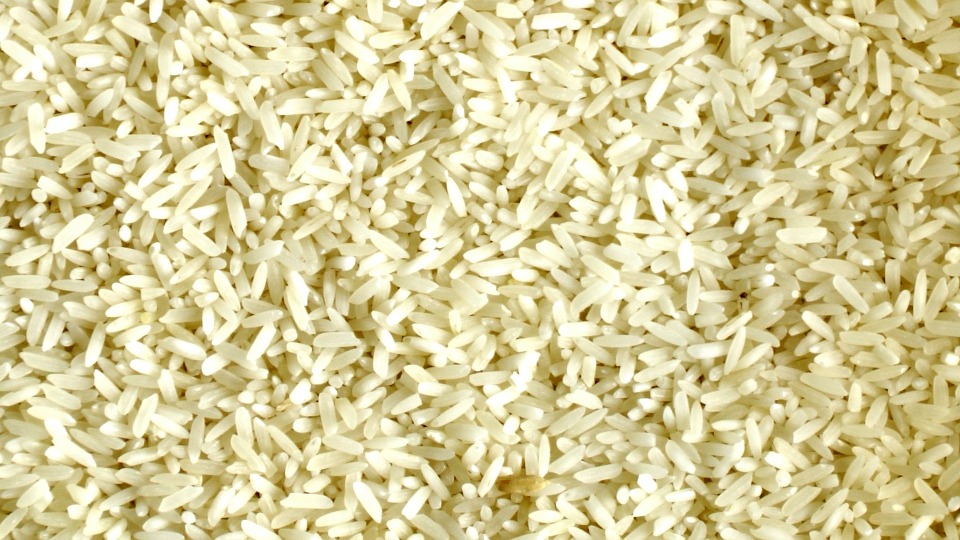 Czy patent na ryż działa?