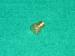 Dysza propan-butan 0.95mm do kuchenki Fagor C730111N5