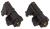 Szczotki węglowe silnika prawe 13.5x36x5mm 482000023016 do pralki Indesit WIA122