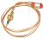 Termopara do kuchenki do Bosch PCH615B90E/40