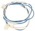 Wiązka podświetlenia do ekspresu do Siemens TE607203RW/04,0