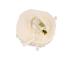 Mikroprzełącznik AquaStop do zmywarki Sharp QW-HS25F443I-DE,2