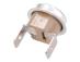 Bezpiecznik termiczny do ekspresu Philips HD8753/94,1
