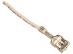 Wiązka zapalaczy do kuchenki do Beko CSM 62320 DW,2