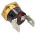 Termostat do ekspresu do Gaggia RI9303/01,1