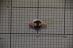 Termostat magnetronu do mikrofalówki do Amica AMMF20M1I,0