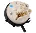 Hydrostat do pralki Polar PTL 1019,1