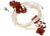 Wiązka zapalaczy do kuchenki do Beko CSM 52021 DW,0