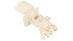 Termostat do lodówki Polar CZN340,3